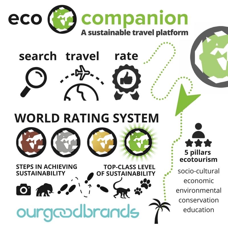 sustainable eco travel ecocompanion brand impact infographic