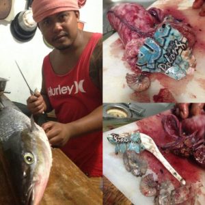 fresh fish plastic ocean contamination bali