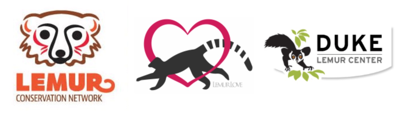 lemurs conservation lemur bags backpacks organisations