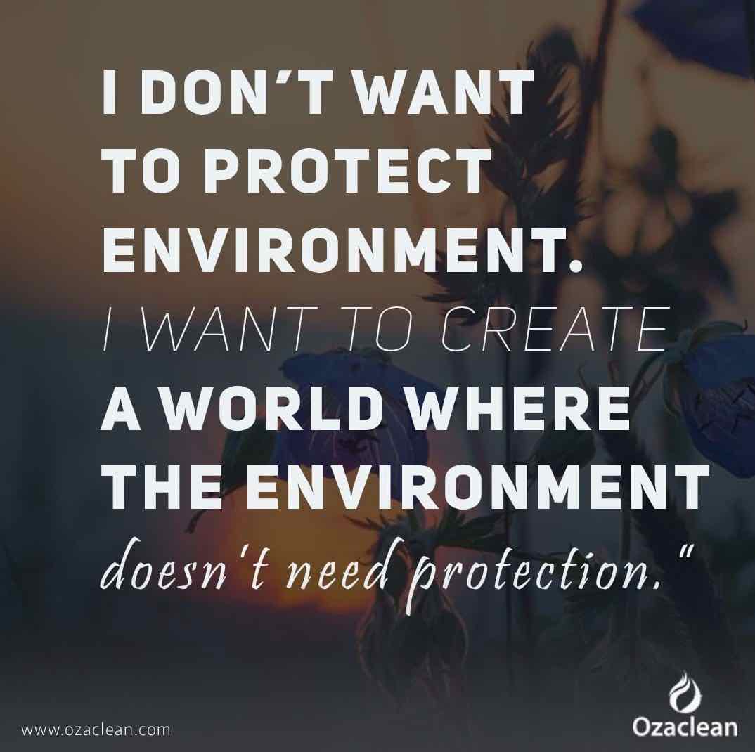 ozaclean organic cleaning products inspirational quote