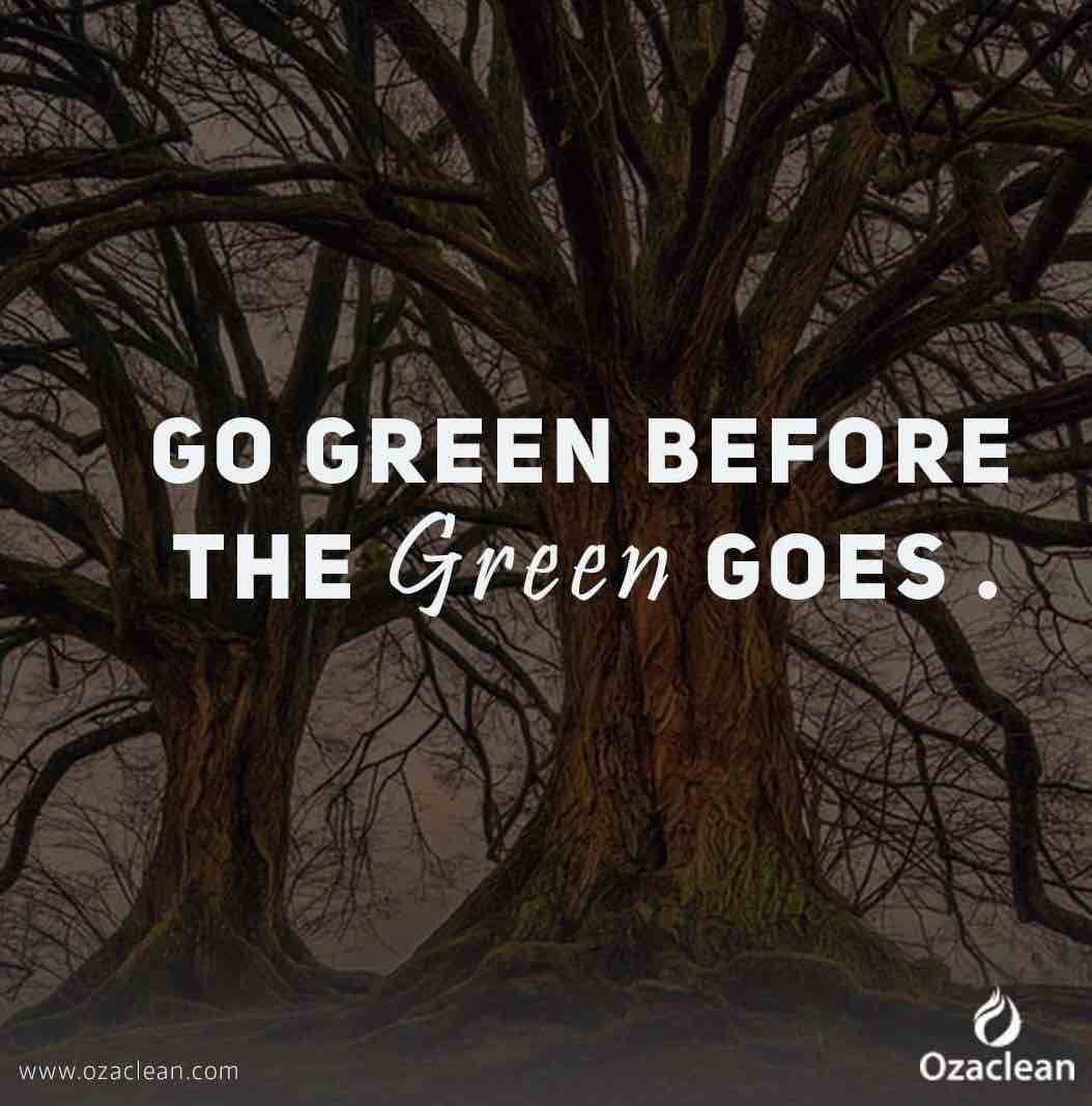 ozaclean organic cleaning products inspirational quote