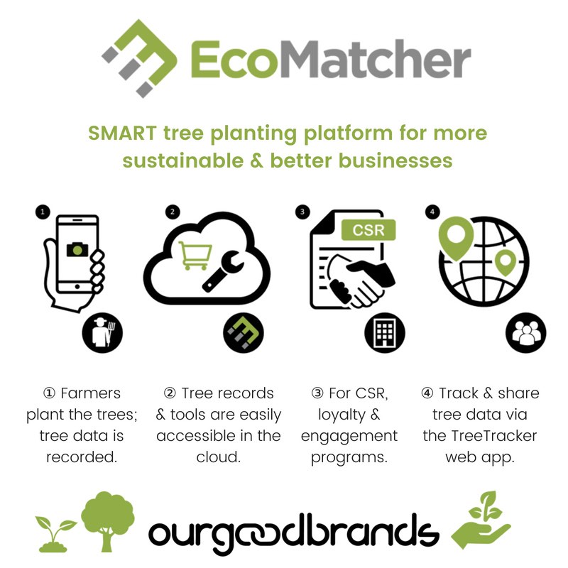 tree planting platform ecomatcher SDG how works infographic