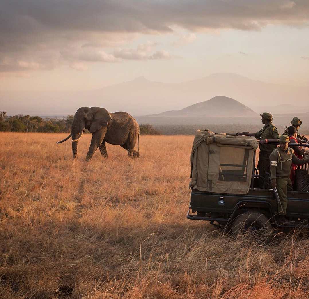 Elephant Gin handcrafted Dry Gin Africa Big Life foundations