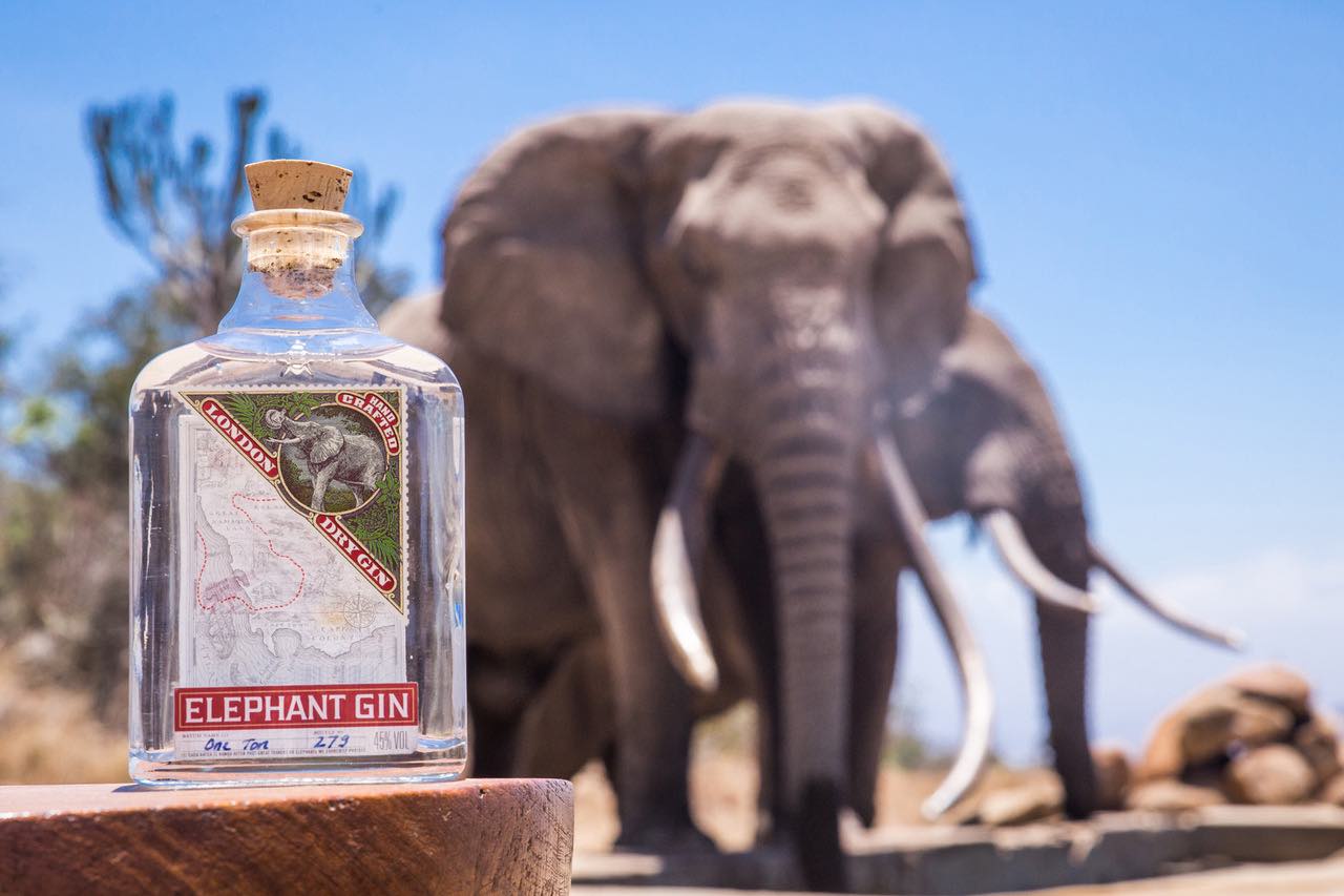 Elephant Gin handcrafted Dry Gin positive luxury Africa foundations