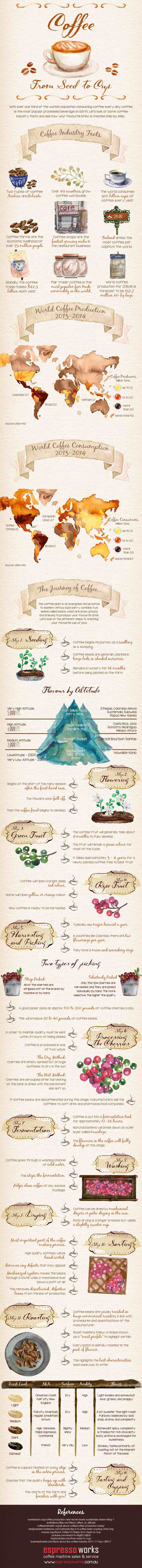 Infographic all you need to know about coffee