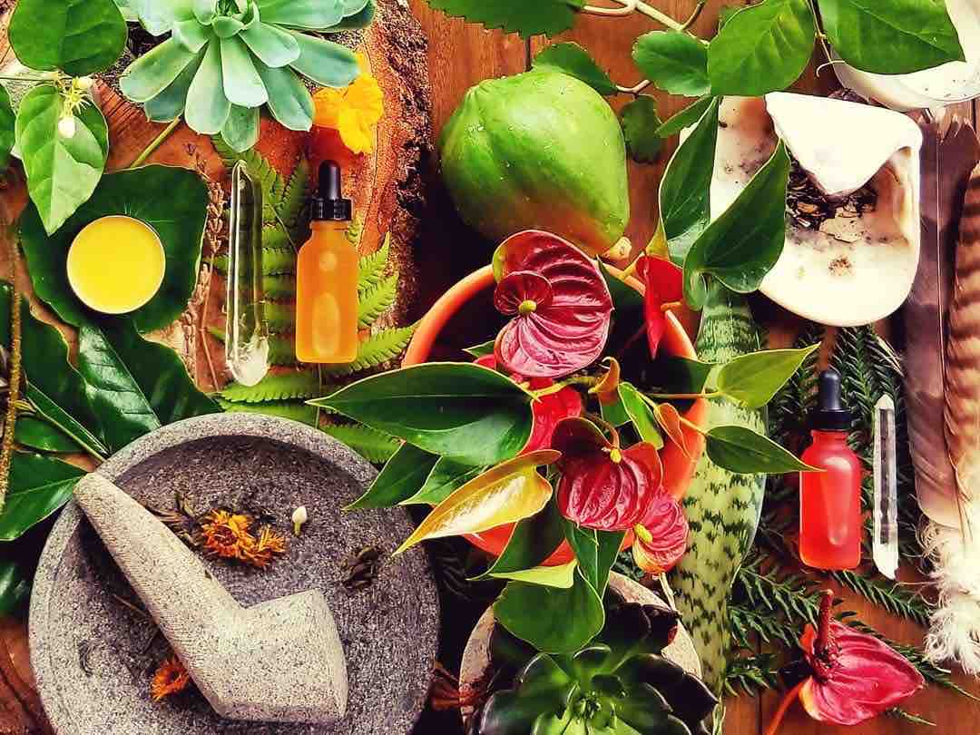 bee chi holistic organic beauty wellness flowers