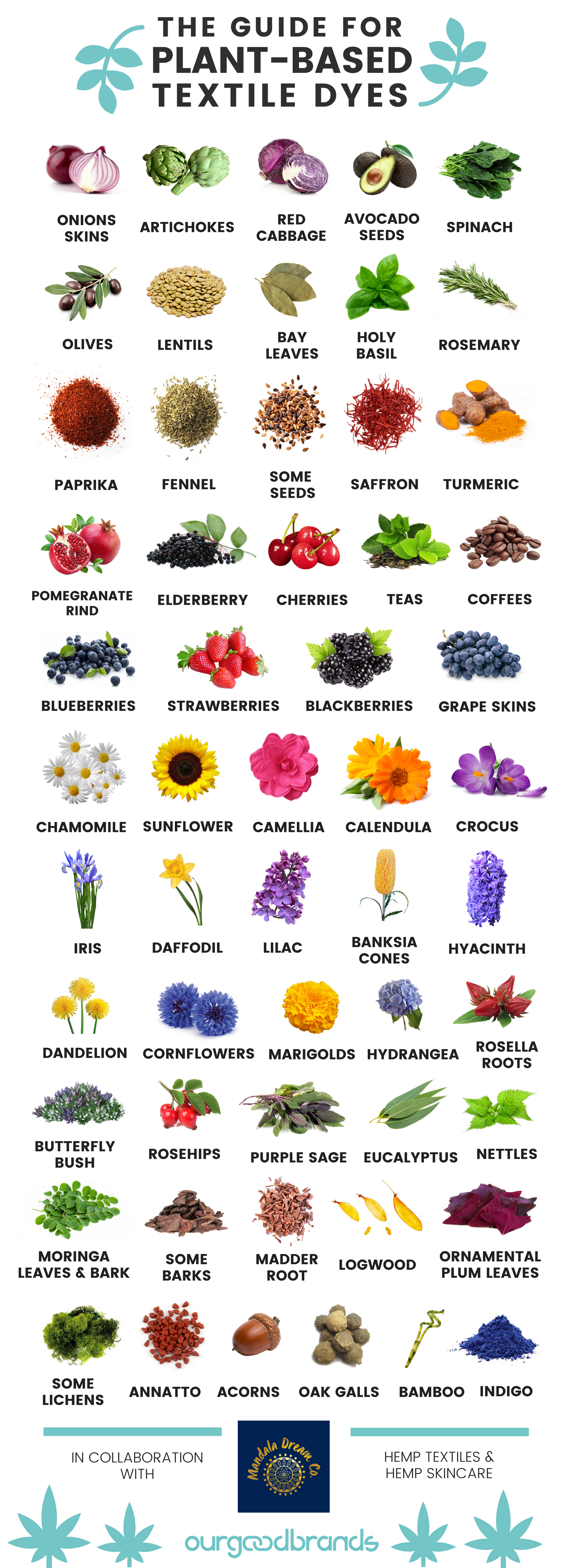 guide natural fabric dyes plant based flowers fruits vegetables infographic