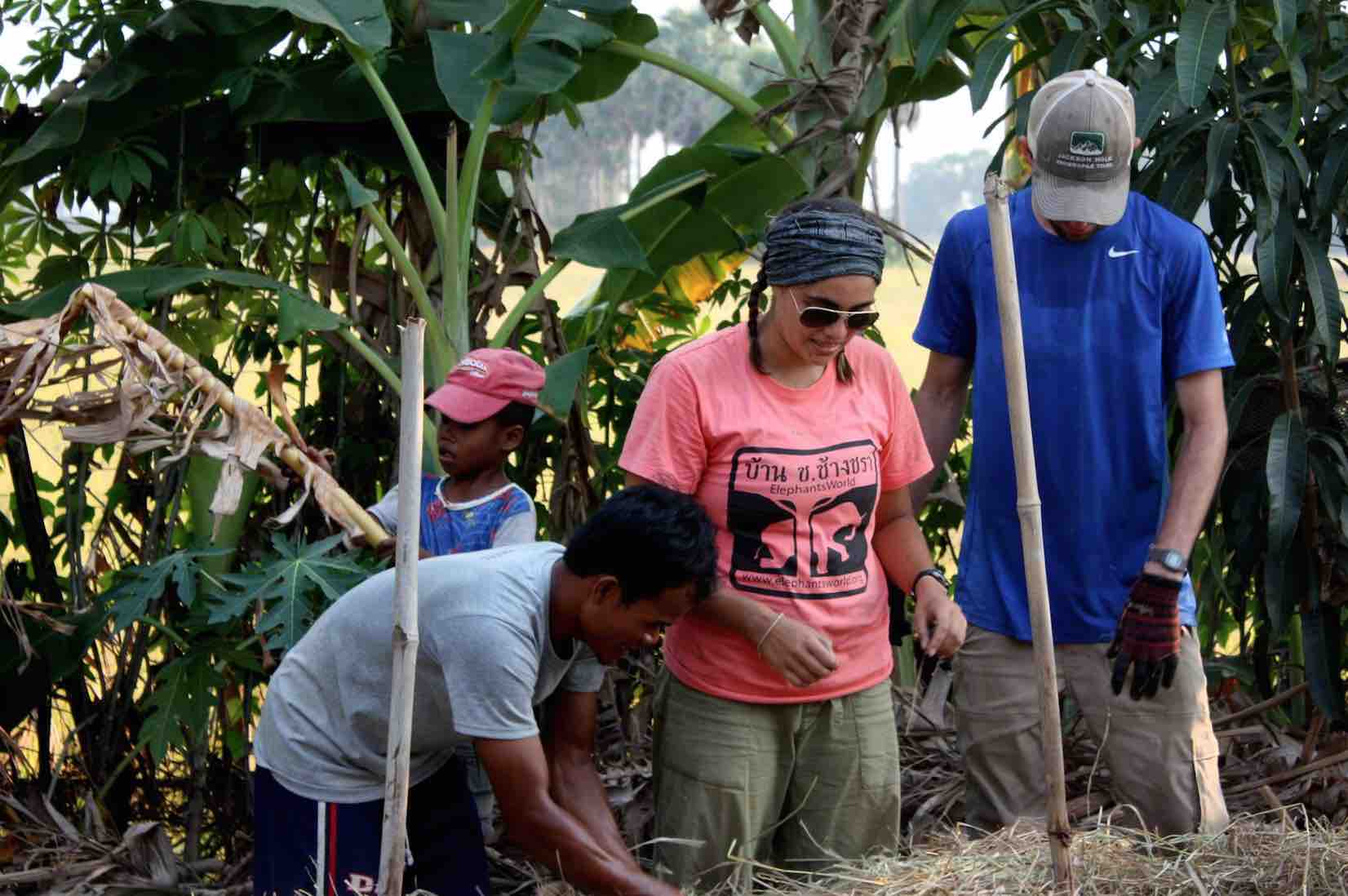sustainable volunteering travel operation groundswell backpack purpose