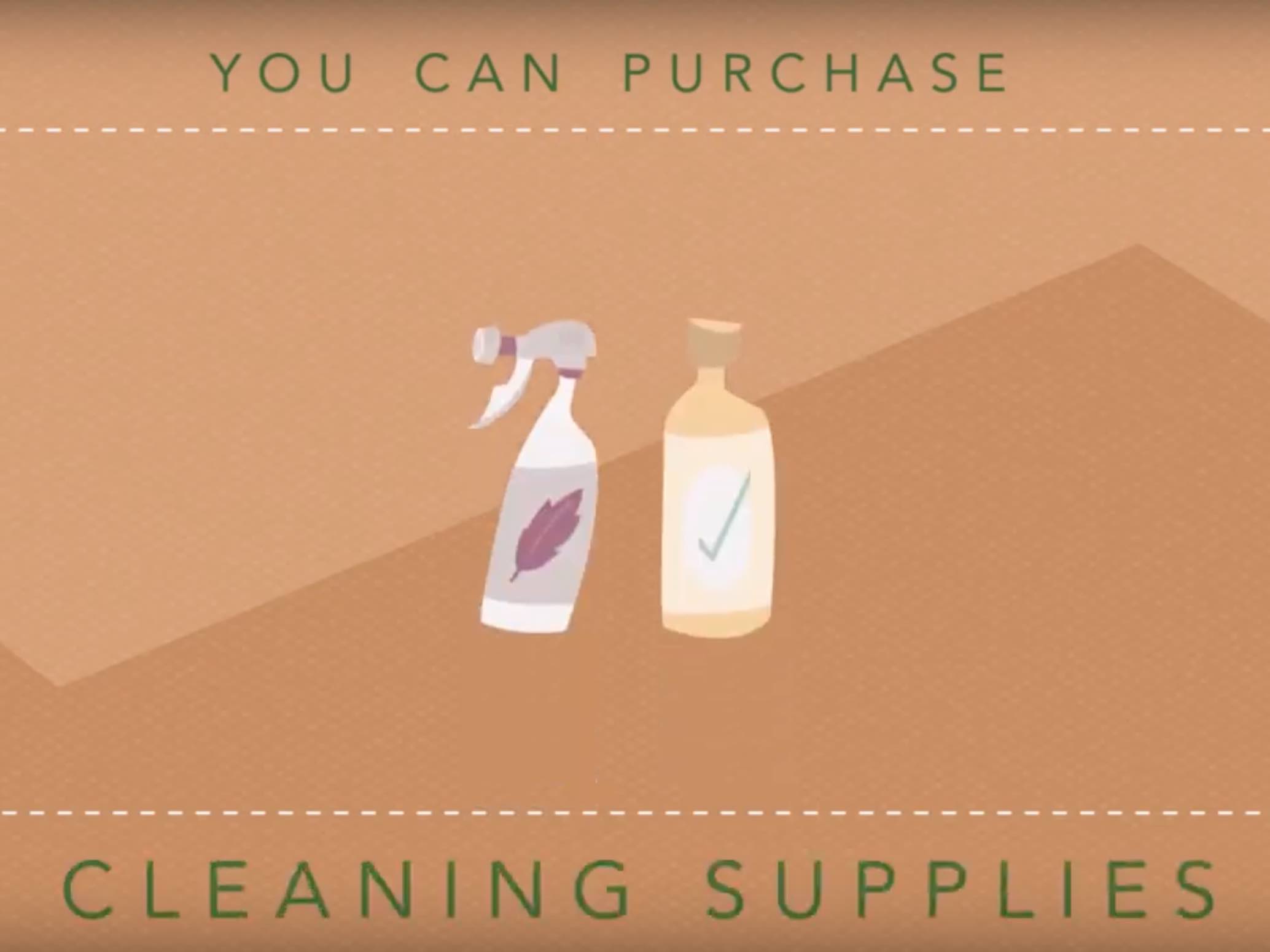 cleaning supplies eco-friendly products for businesses
