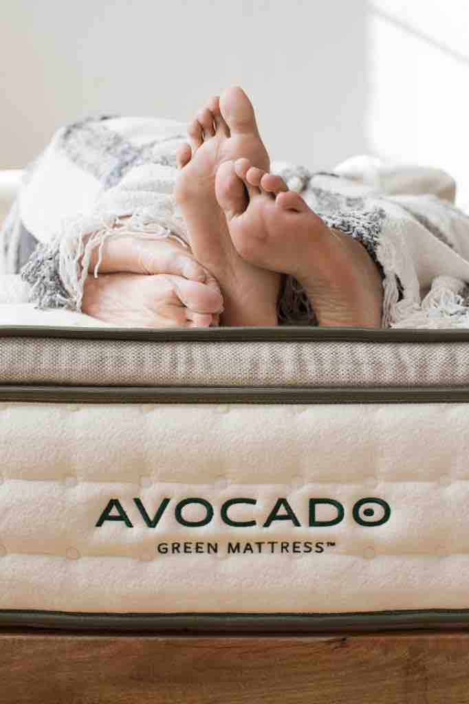 avocado green mattress natural organic mattress