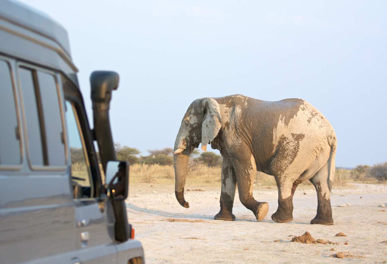 ecotourism sustainable travel jumbari family safaris africa