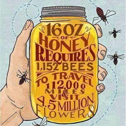 guide save the bees social enterprises ourgoodbrands impact honey production