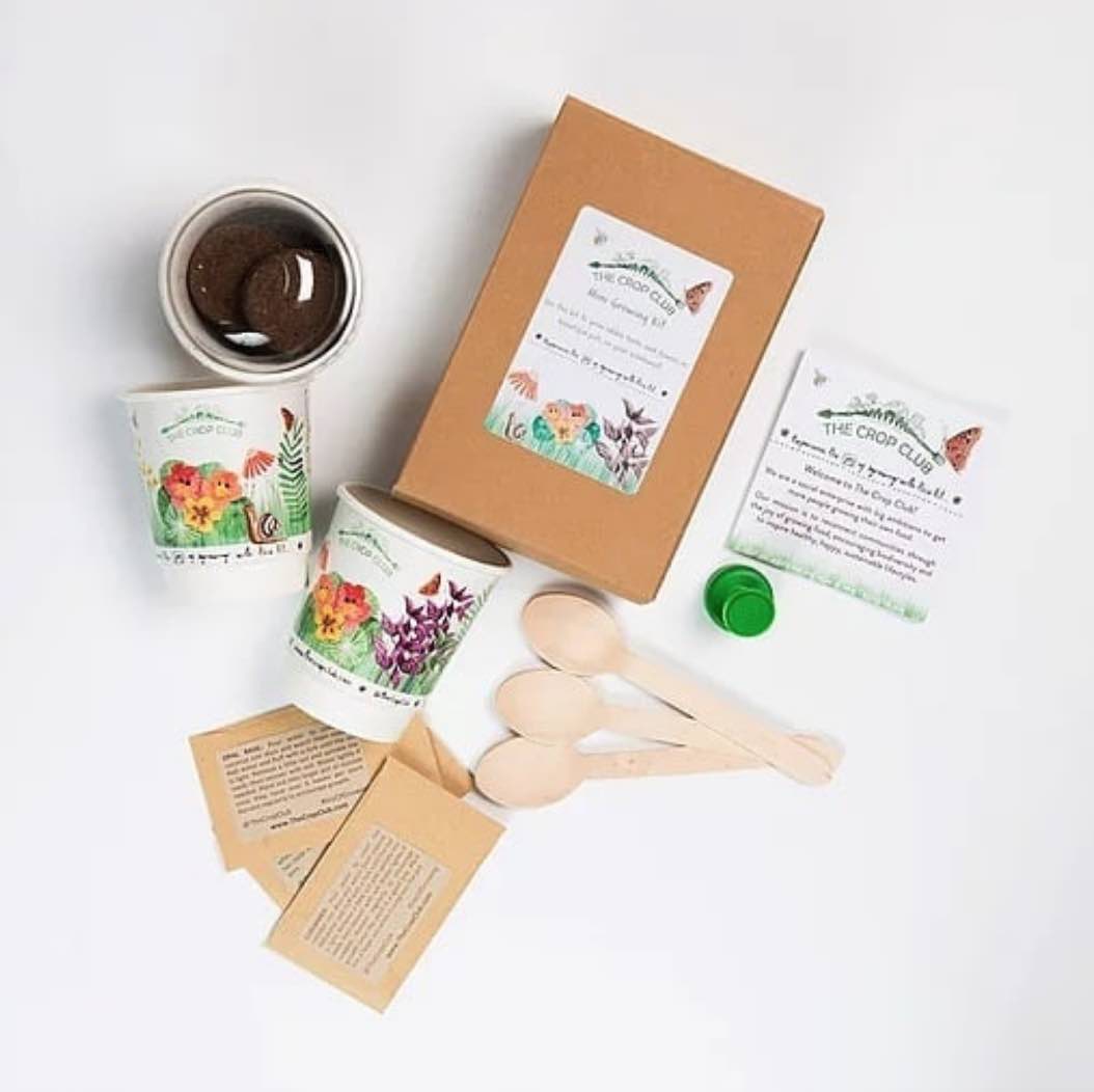 guide save the bees social enterprises ourgoodbrands The Crop Club gardening kit
