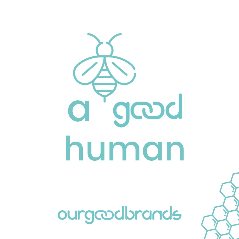 guide save the bees social enterprises ourgoodbrands