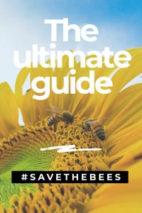The ultimate guide on how can you save the bees