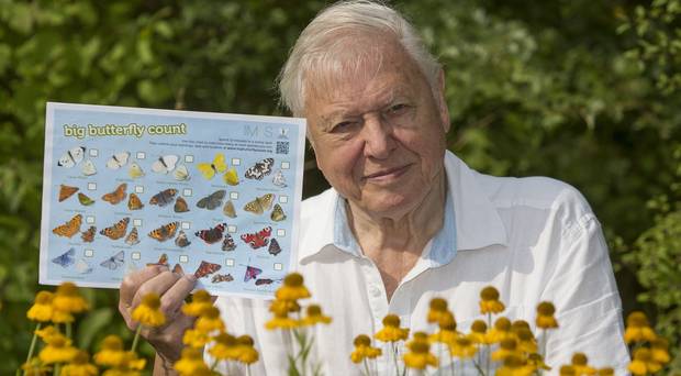 The Attenborough effect Blue Planet and How to make your garden more eco-friendly