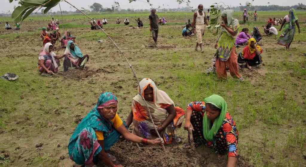 madhya pradesh india plants 66 million trees record breaking environmental campaign