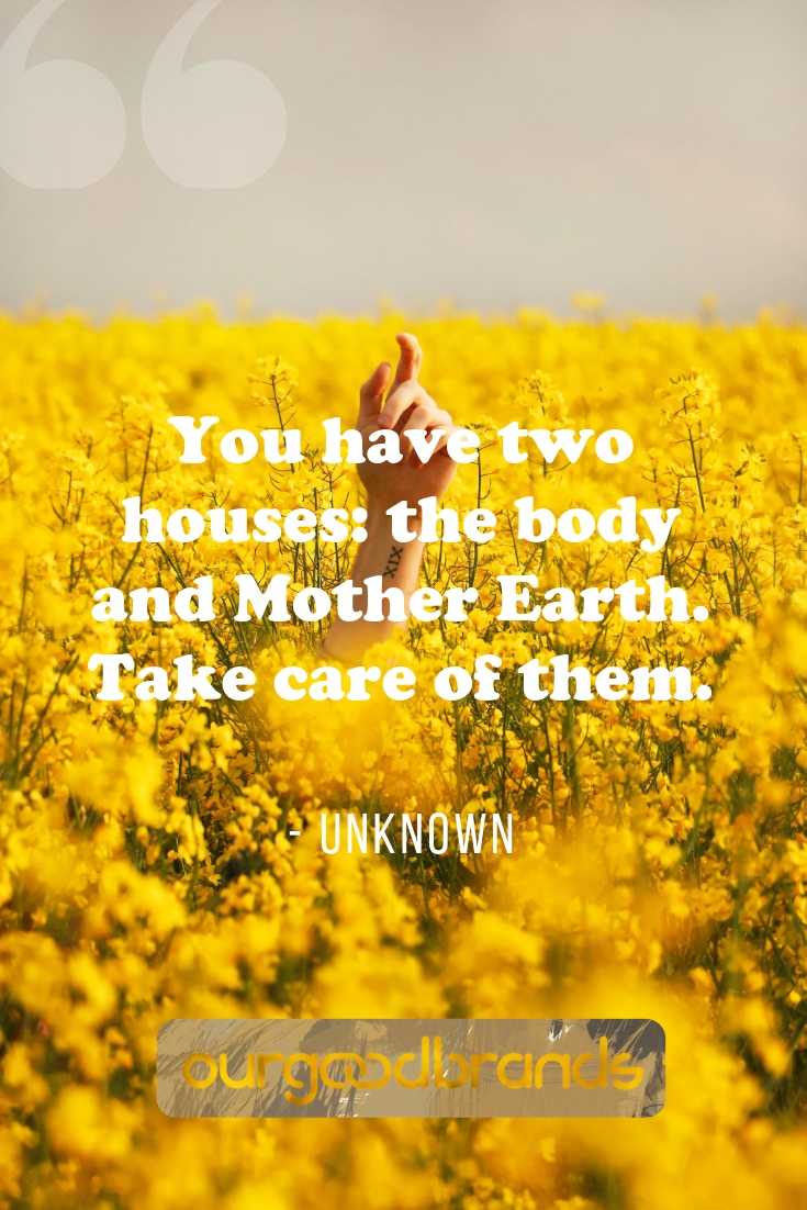 most inspiring meditation yoga quotes sustainability