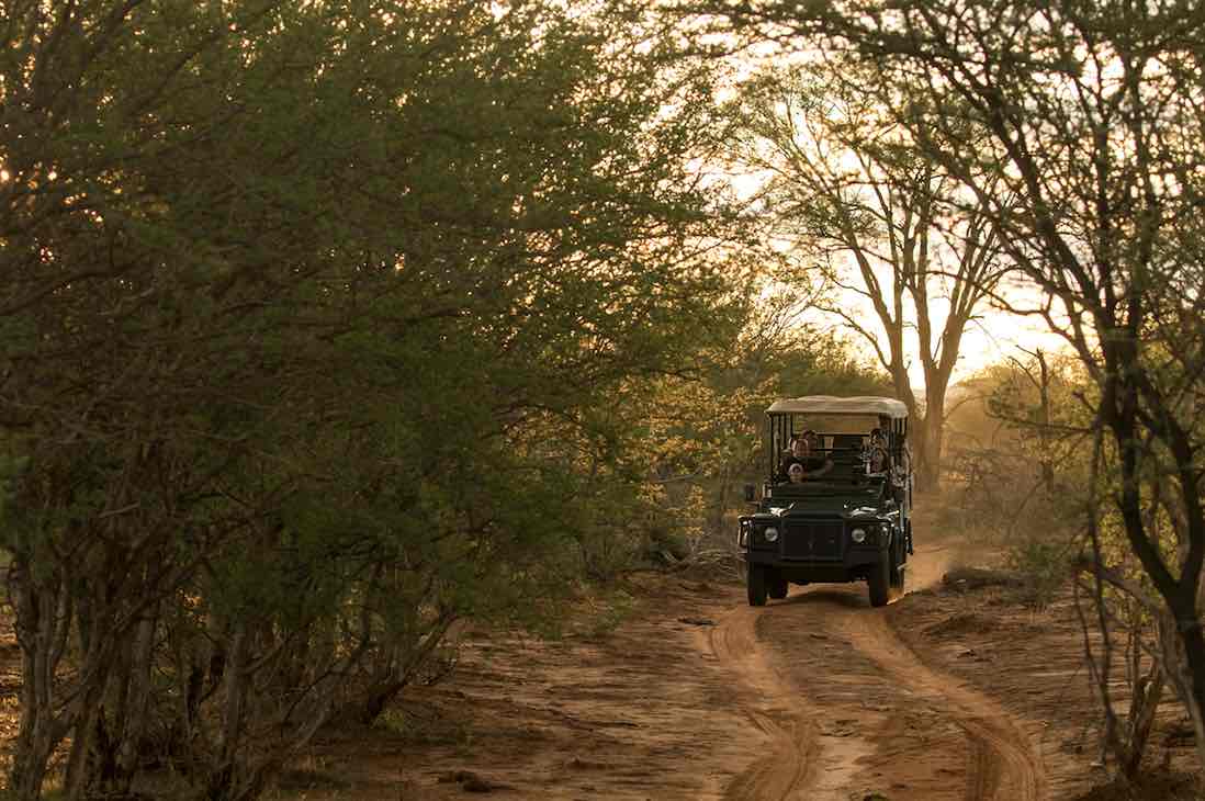 best eco-lodge Jacis safari lodge south africa