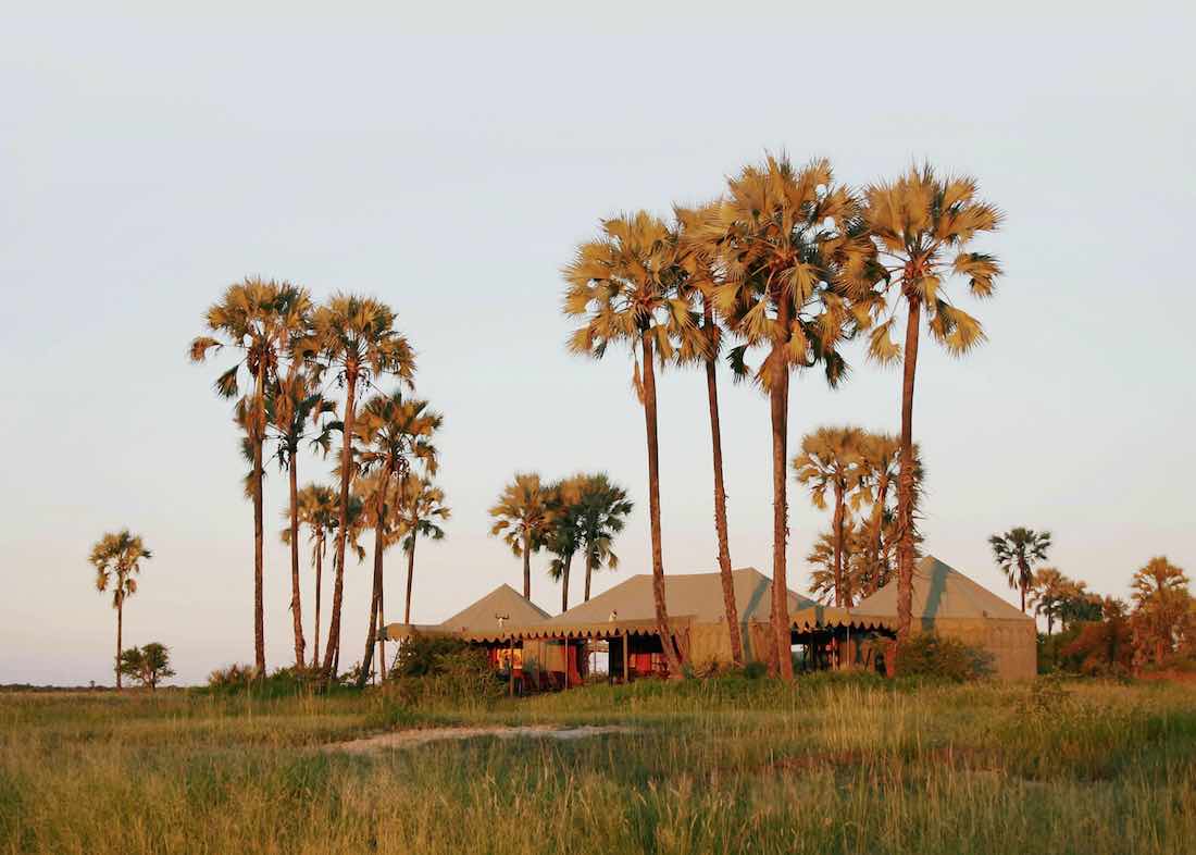best eco-lodge africa safari Tarkuni Lodge Jacks Camp Botswana