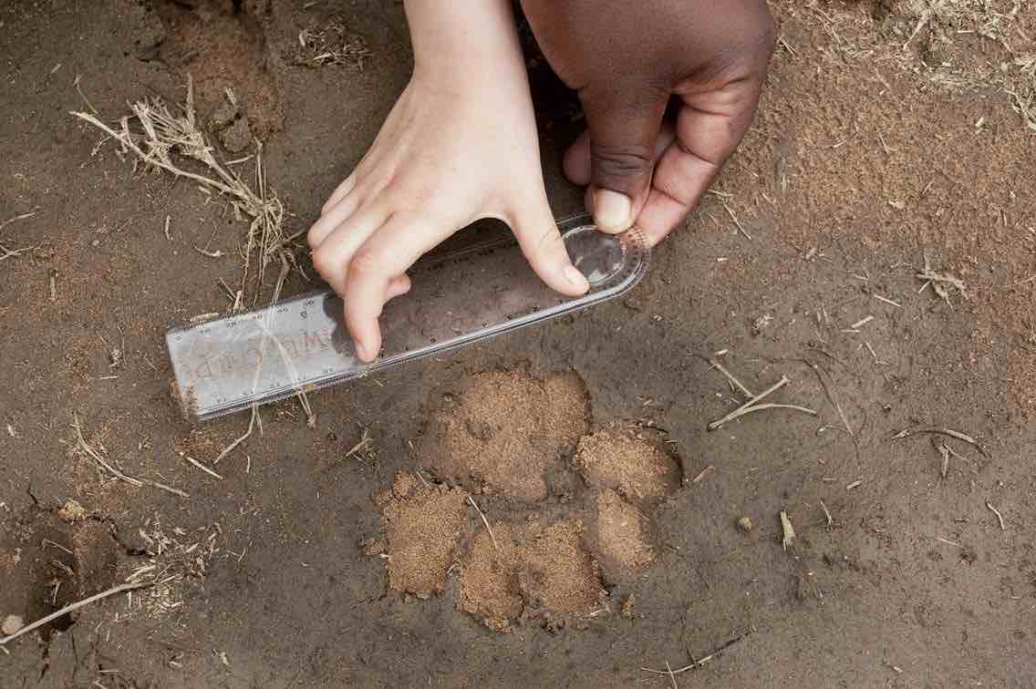 Children family safari africa jumbari wildlife guided tour learn