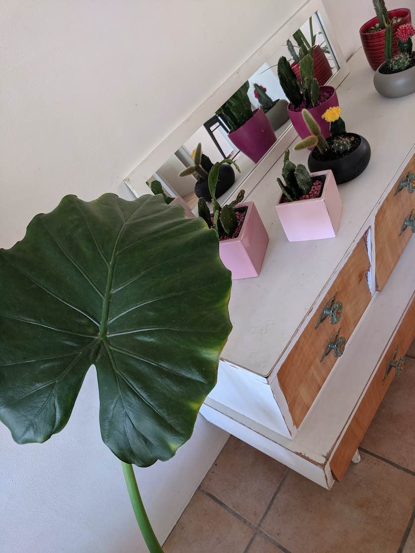guide tops green travelers stay eco-friendly airbnb