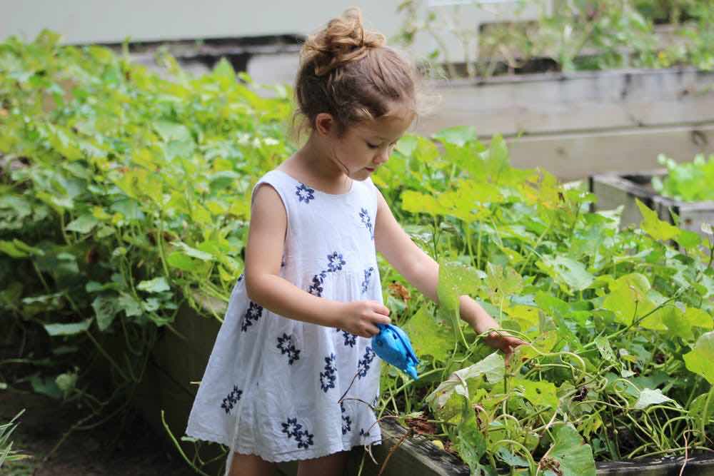 The Attenborough Effect: 3 ways to get children into STEM subjects