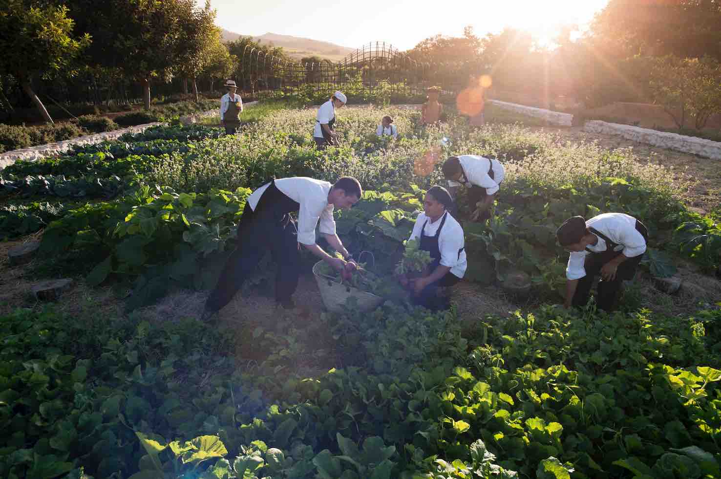 responsible ecotourism eco safari africa organic farming