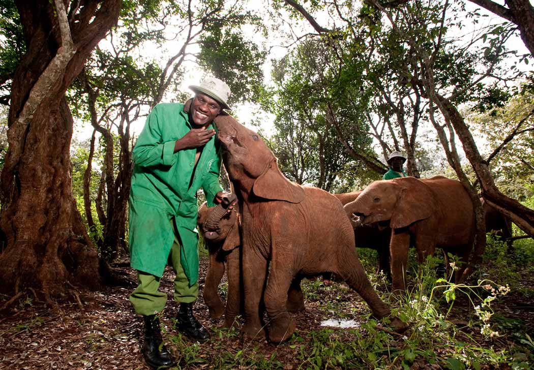 Wild animal interactions, and why you should say no!
