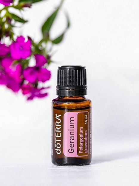 doterra essential oils 12 original & unusual gift ideas for eco-friendly Christmas 2019