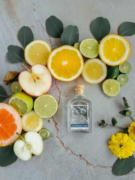 elephant gin premium handcrafted 12 original & unusual gift ideas for eco-friendly Christmas 2019