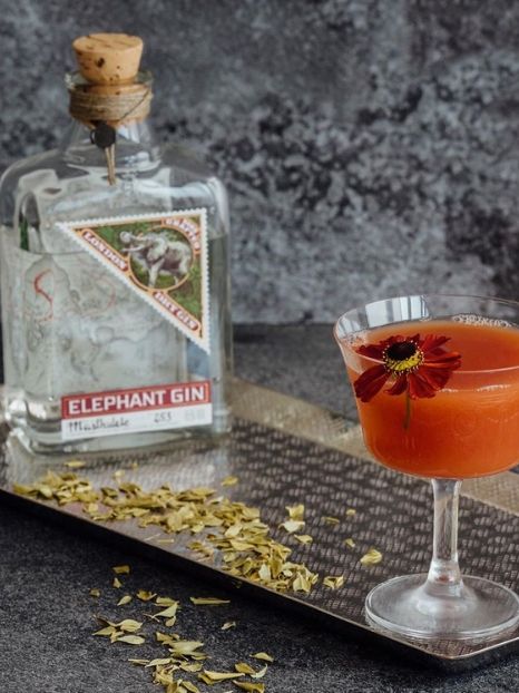 elephant gin premium handcrafted 12 original & unusual gift ideas for eco-friendly Christmas 2019