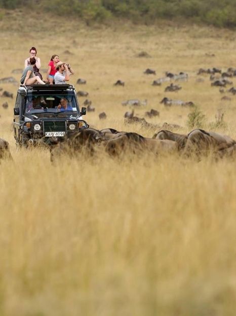Jumbari family Safaris 12 original & unusual gift ideas for eco-friendly Christmas 2019