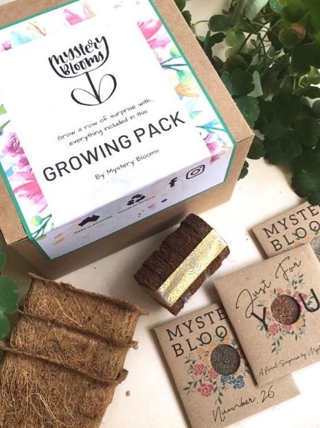 bees pollination kit mystery blooms eco toys gift ideas your eco kids will love this Christmas