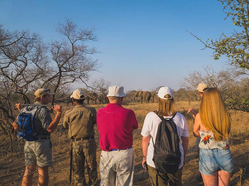 Walking safari at Jabulani Safaris