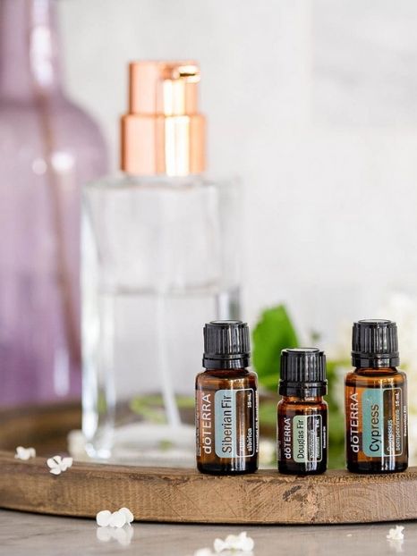 How to create the perfect natural and organic beauty gift sets doterra essential oils