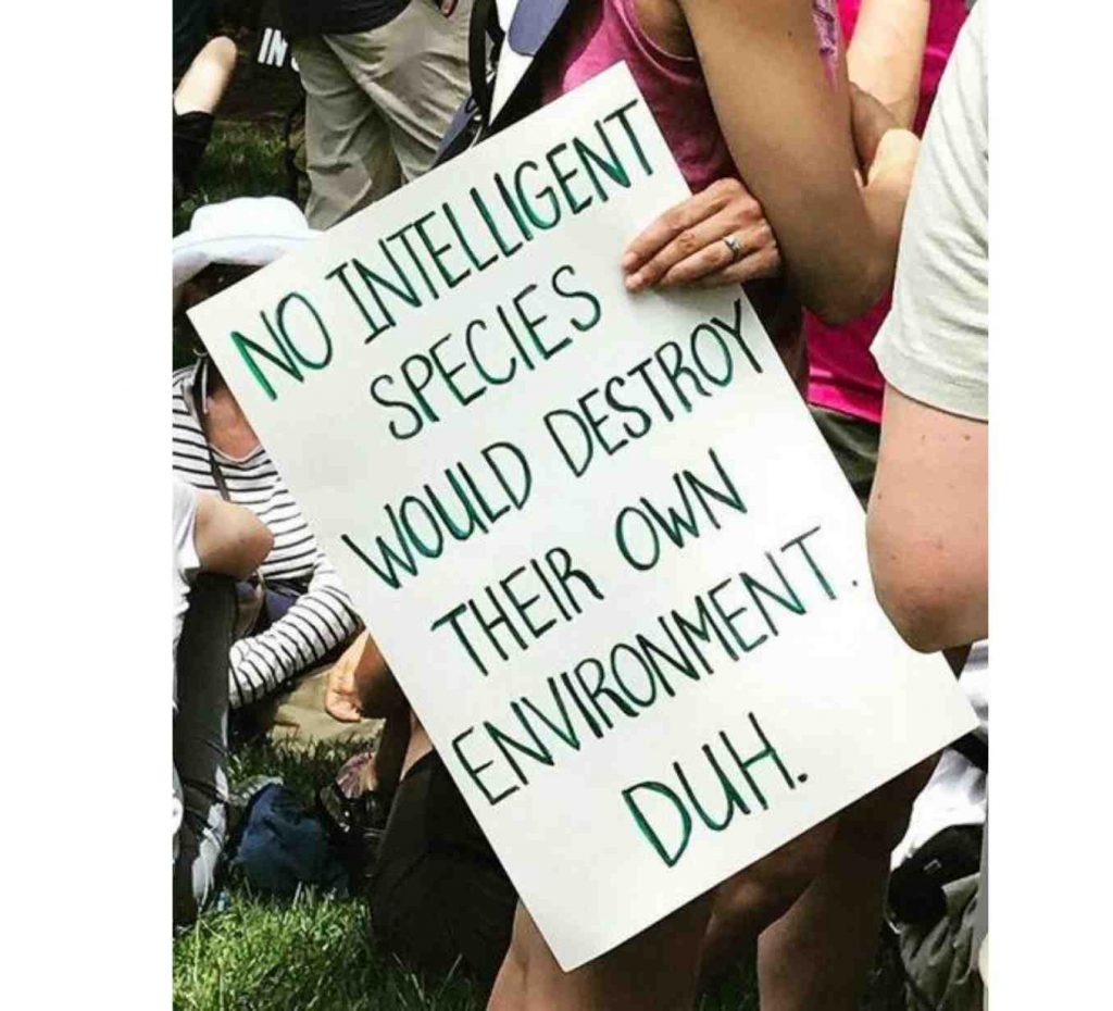 100 original protest posters in the year of Greta Thunberg