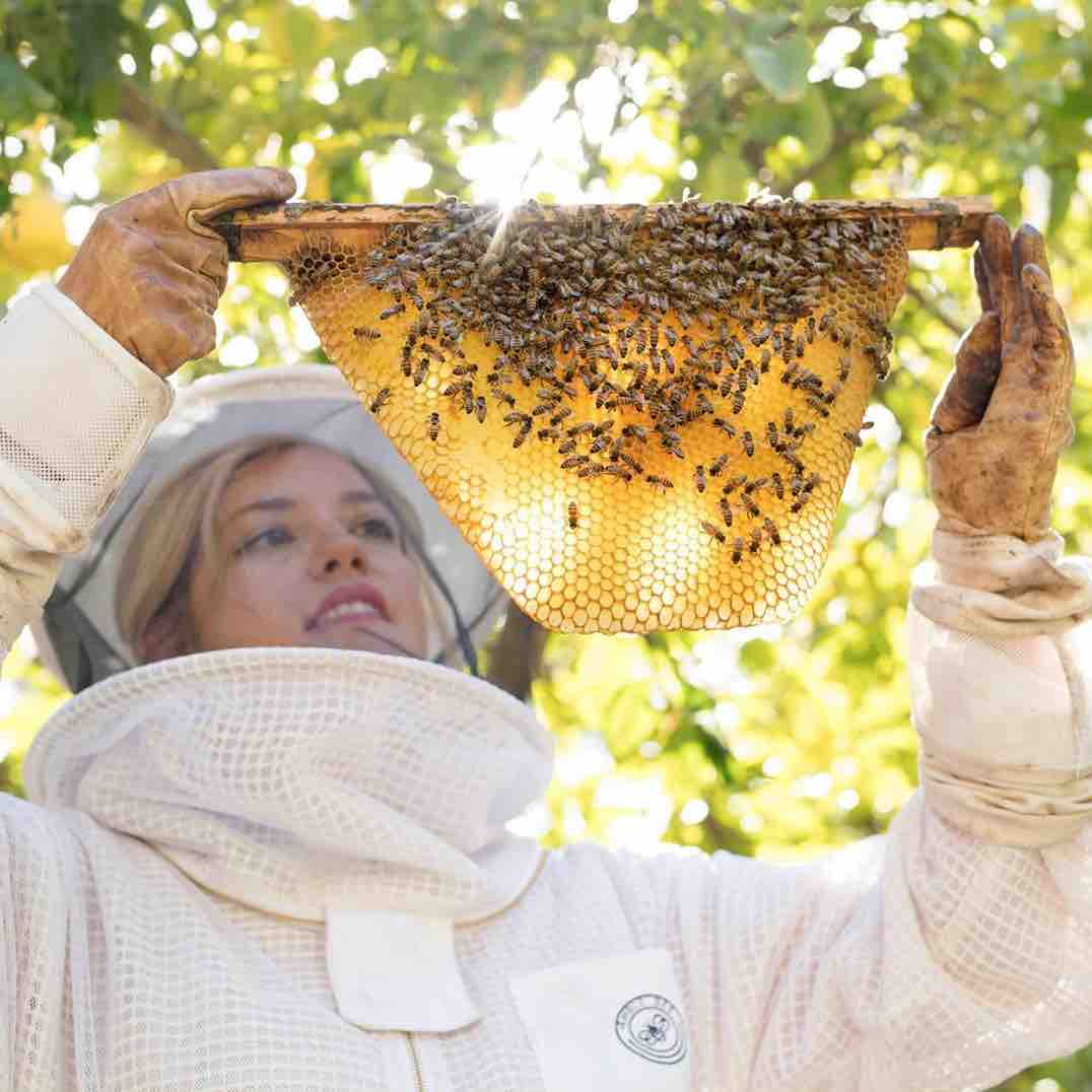 beekeeping educational program girl next door honey