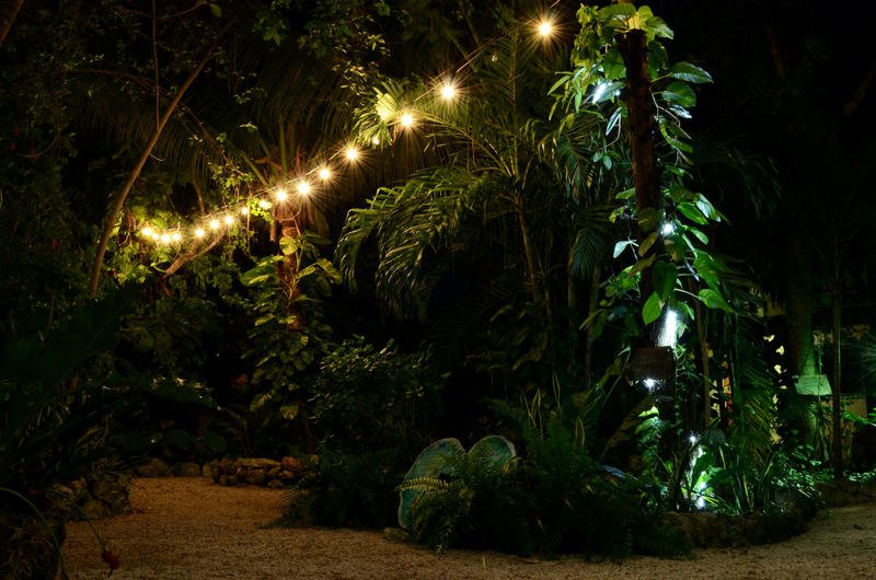 eco friendly hostels sustainable traveler
