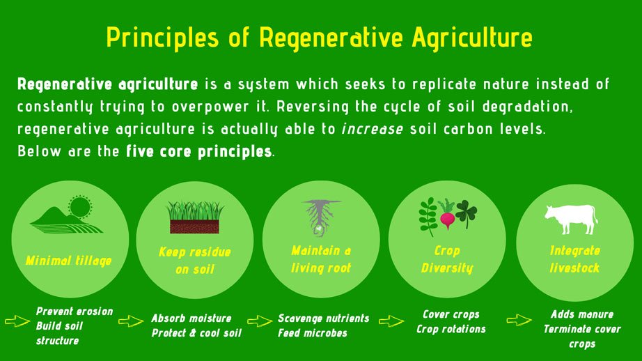 what is regenerative agriculture why matters