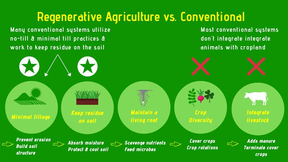 what is regenerative agriculture why matters