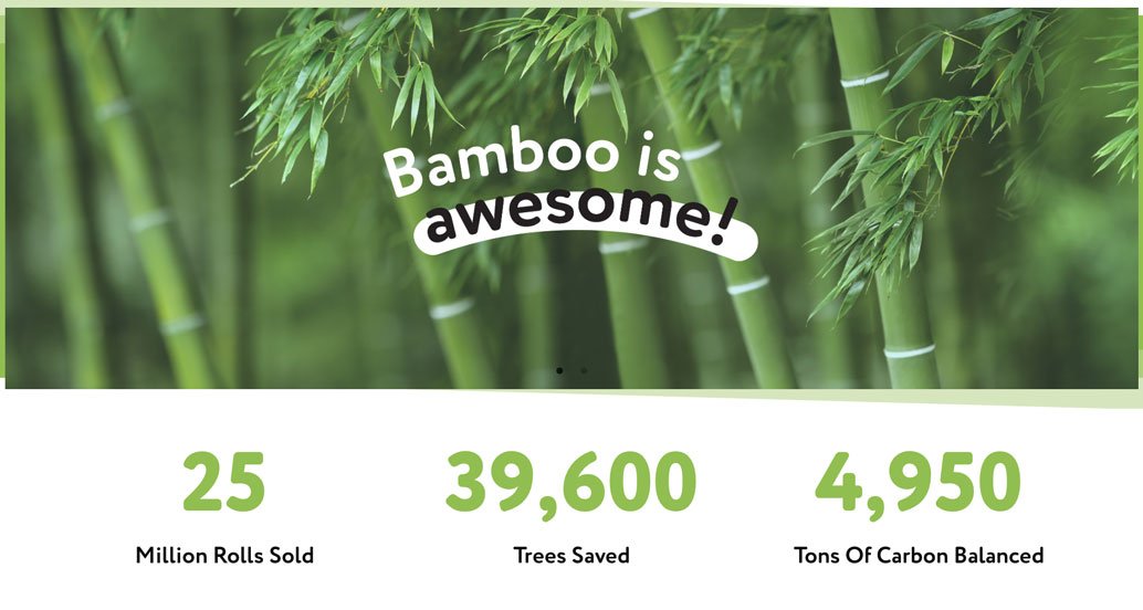 bamboo tissues save trees cheeky panda