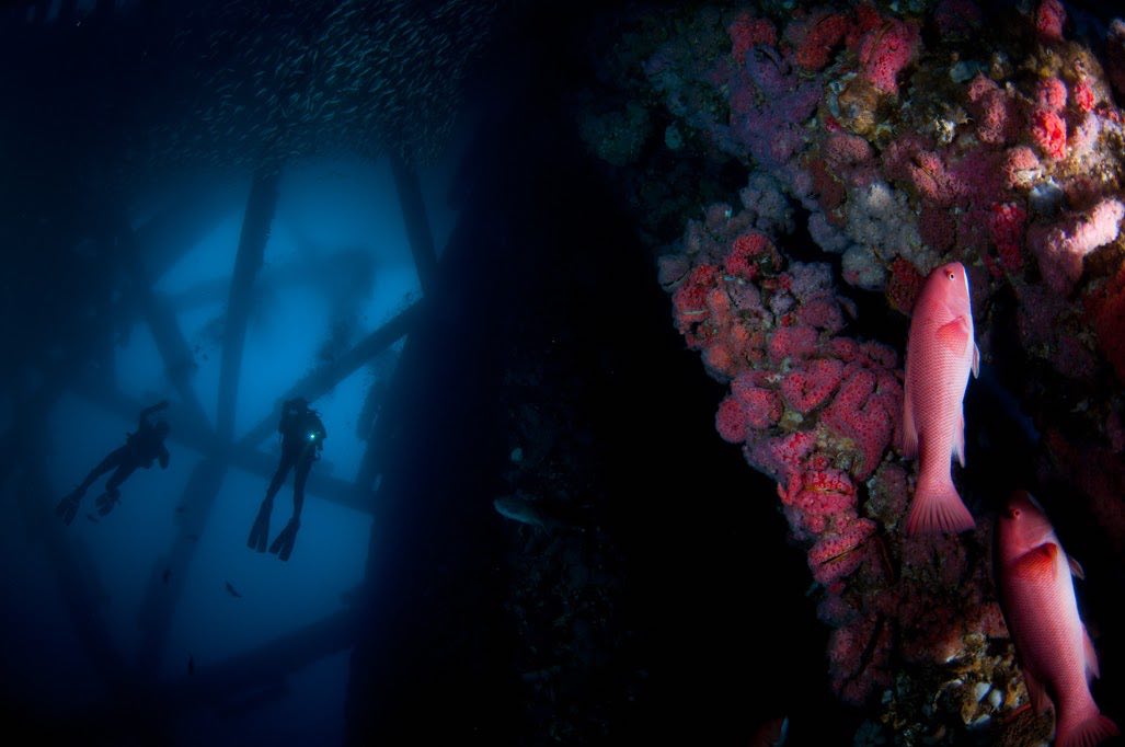 blue latitudes artificial reefs podcast