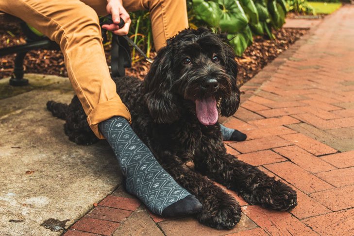 conscious steps fair trade giving back organic socks