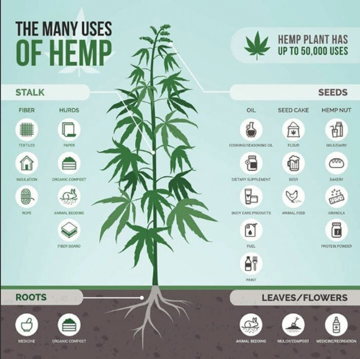 top hemp uses
