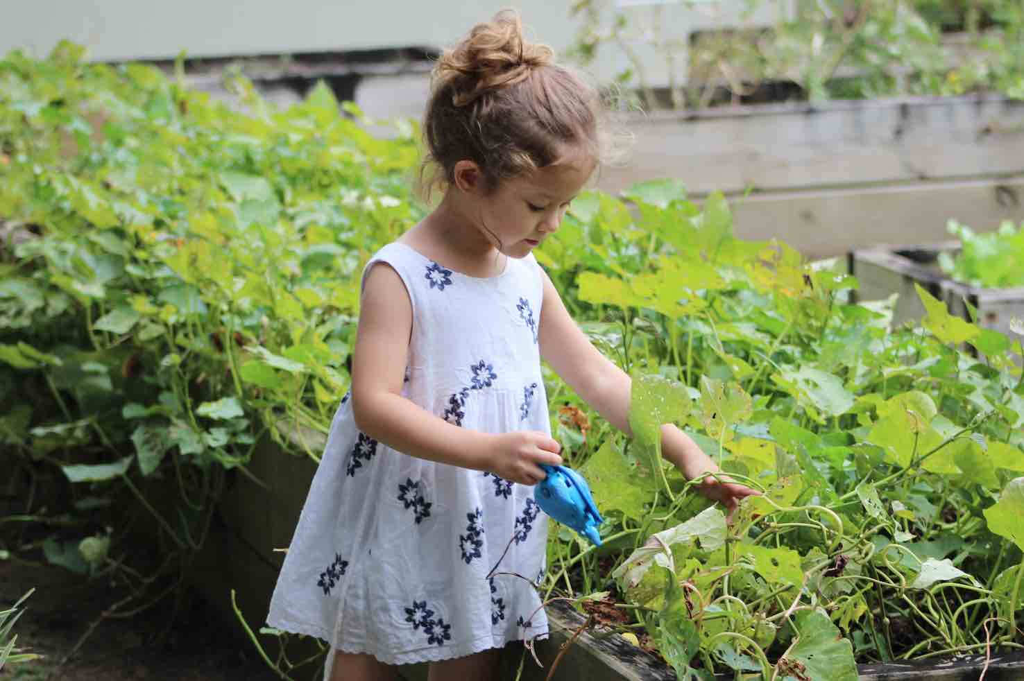 7 Benefits of Gardening with Kids