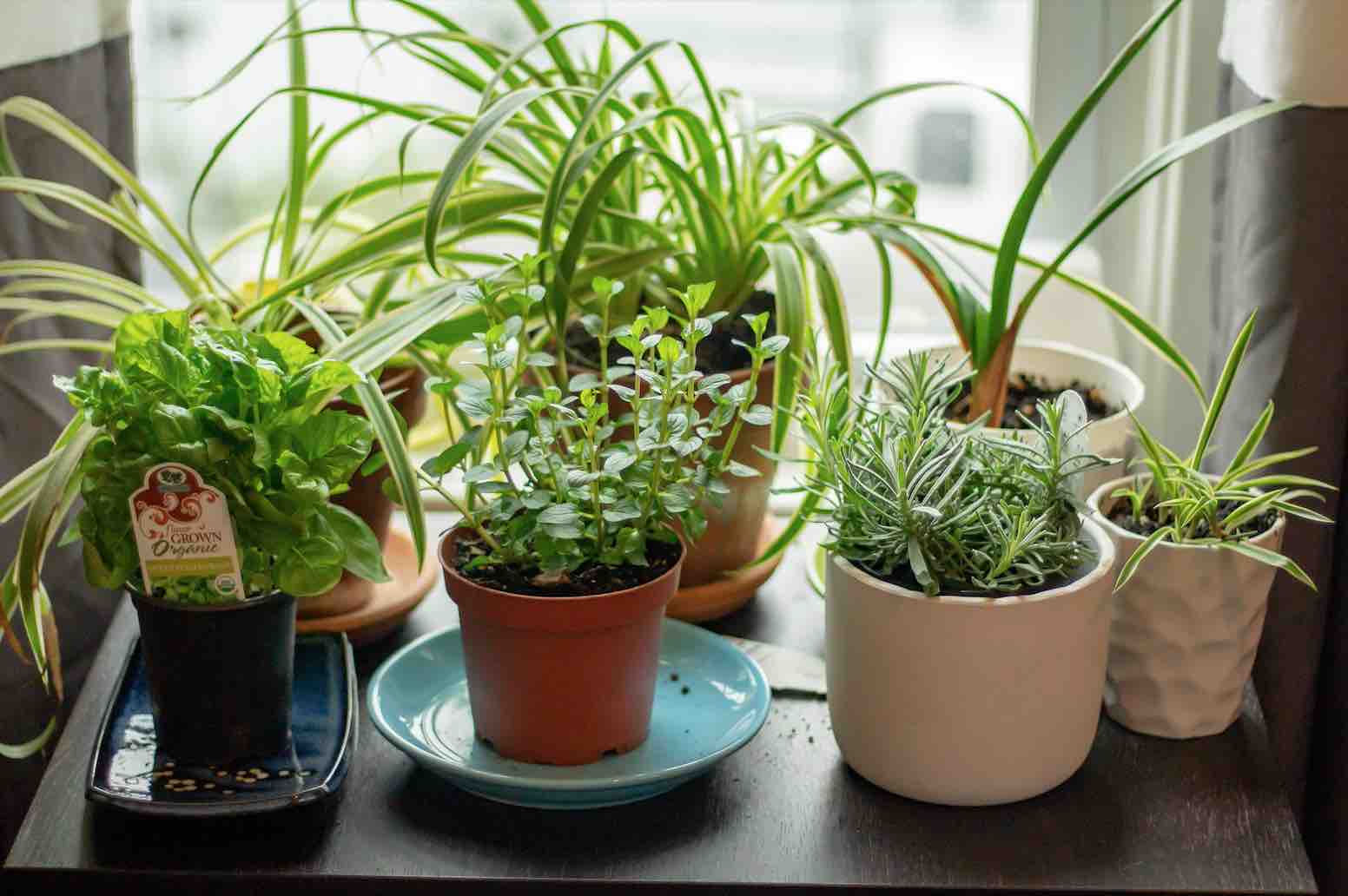 5 Nature art activities for kids while self-isolating
