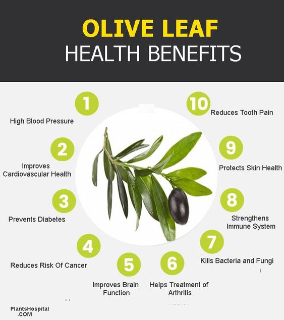 olive leaf extract benefits health boost