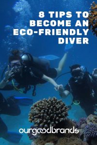 tips become eco friendly diver