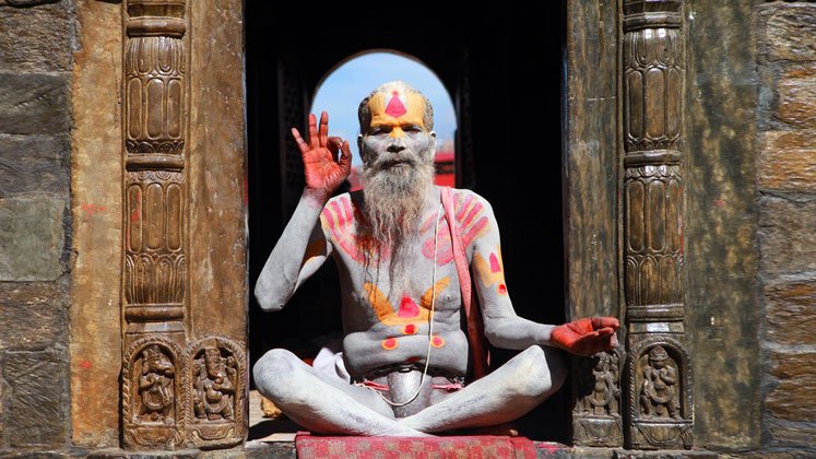 lessons yoga teacher training course india